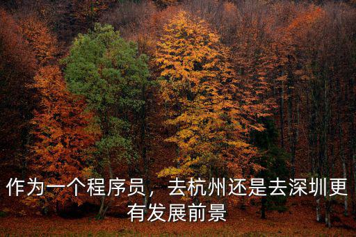 作為一個程序員，去杭州還是去深圳更有發展前景