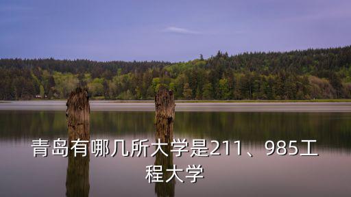 青島市一共有多少所大學,青島有哪幾所大學是211