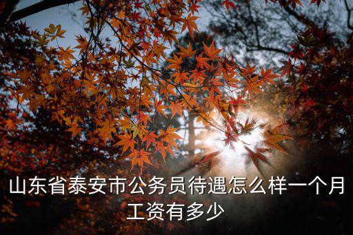 山東省泰安市公務(wù)員待遇怎么樣一個月工資有多少