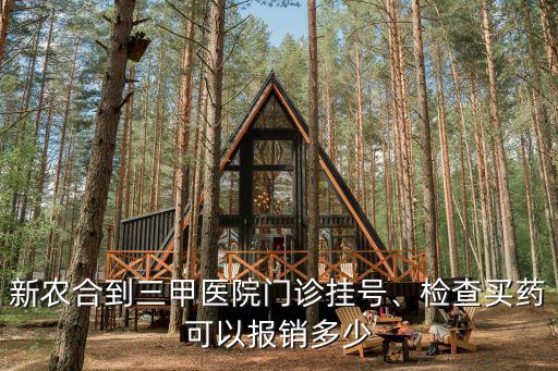 新農(nóng)合到三甲醫(yī)院門診掛號、檢查買藥可以報銷多少