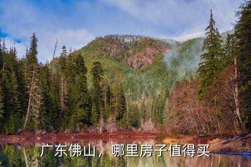佛山哪里買房便宜可以上學,哪里房子值得買