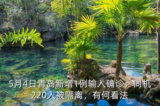 一個(gè)人在青島隔離多少人,同機(jī)220人被隔離