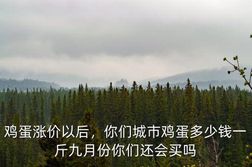 雞蛋漲價以后，你們城市雞蛋多少錢一斤九月份你們還會買嗎