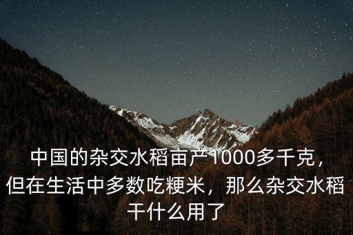 汕頭種了多少超級雜交水稻,雜交水稻以前畝產多少