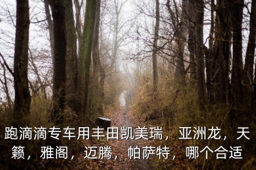 跑滴滴專車用豐田凱美瑞，亞洲龍，天籟，雅閣，邁騰，帕薩特，哪個合適