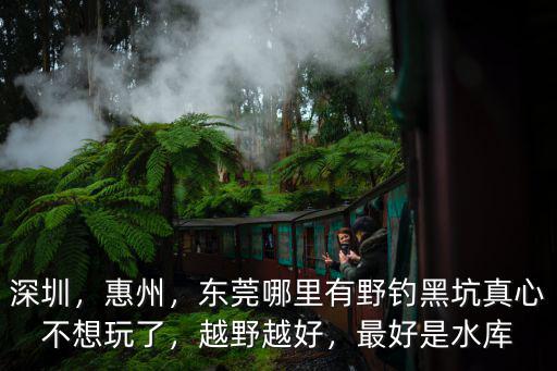 惠州野釣哪里好打路亞,水庫路亞什么地方好