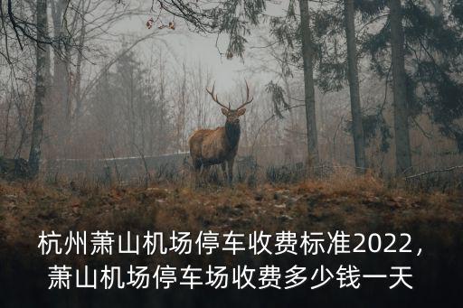 杭州蕭山車位多少錢一個,杭州機場停車一天多少錢