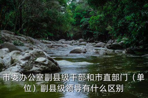 市委辦公室副縣級干部和市直部門（單位）副縣級領導有什么區別