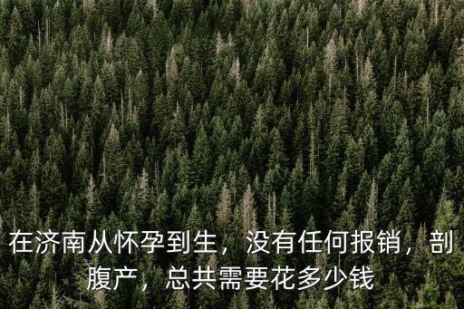 在濟南生孩子需要花多少錢,在濟南生孩子需要花多少錢