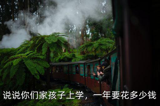 惠州小孩一年上學多少錢,說說你們家孩子上學