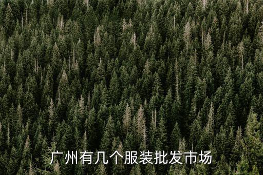 廣州有幾個(gè)服裝批發(fā)市場(chǎng)