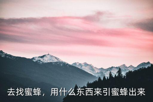 去找蜜蜂，用什么東西來引蜜蜂出來