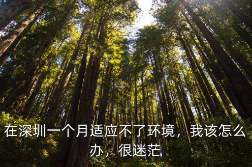 到深圳一個月沒有上班怎么辦好,在深圳一個月適應不了環境