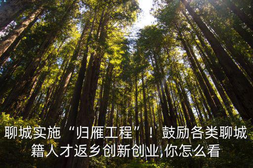 聊城實施“歸雁工程”！鼓勵各類聊城籍人才返鄉創新創業,你怎么看
