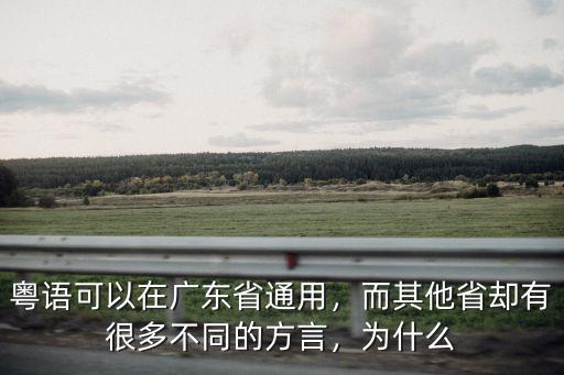 粵語(yǔ)可以在廣東省通用，而其他省卻有很多不同的方言，為什么