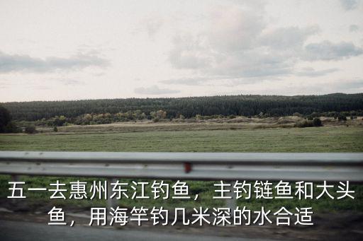 惠州惠城哪里有馬口釣,五一去惠州東江釣魚