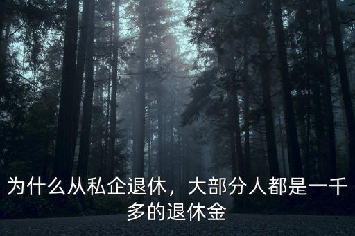 為什么從私企退休，大部分人都是一千多的退休金