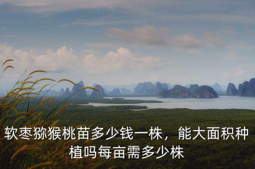在山東濰坊軟棗子苗多少錢一棵,軟棗獼猴桃苗多少錢一株