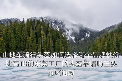 山地車騎行頭盔如何選擇哪個品牌性價比高TB的東莞工廠的頭盔靠譜嗎主要市區通勤