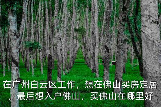 在廣州白云區工作，想在佛山買房定居，最后想入戶佛山，買佛山在哪里好