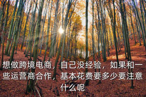 想做跨境電商，自己沒(méi)經(jīng)驗(yàn)，如果和一些運(yùn)營(yíng)商合作，基本花費(fèi)要多少要注意什么呢