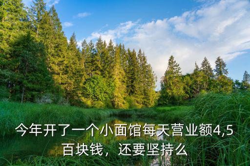 嘉興夫妻小面館一天營(yíng)業(yè)額多少,夫妻開(kāi)一個(gè)小面館