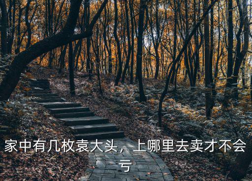家中有幾枚袁大頭，上哪里去賣才不會虧