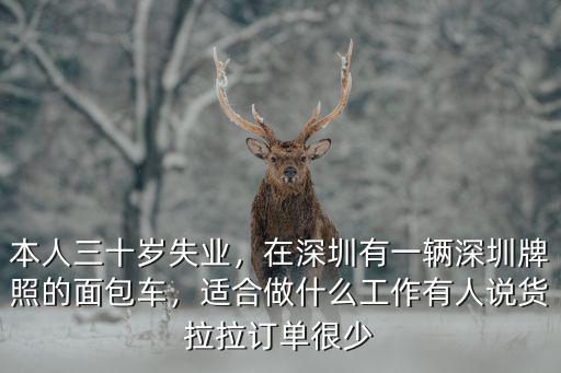 本人三十歲失業(yè)，在深圳有一輛深圳牌照的面包車，適合做什么工作有人說貨拉拉訂單很少