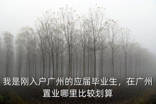 我是剛入戶廣州的應屆畢業生，在廣州置業哪里比較劃算