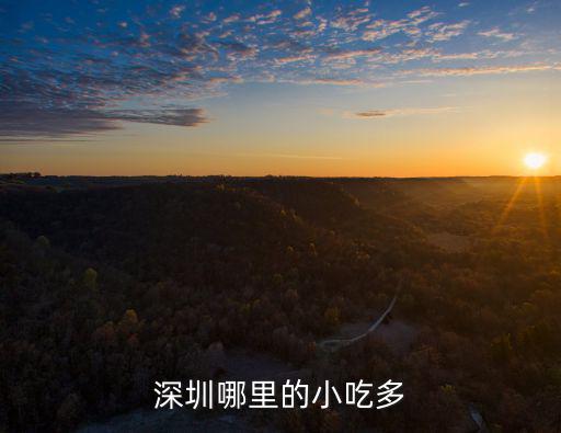 深圳哪里的小吃多