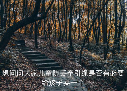 想問問大家兒童防丟牽引繩是否有必要給孩子買一個