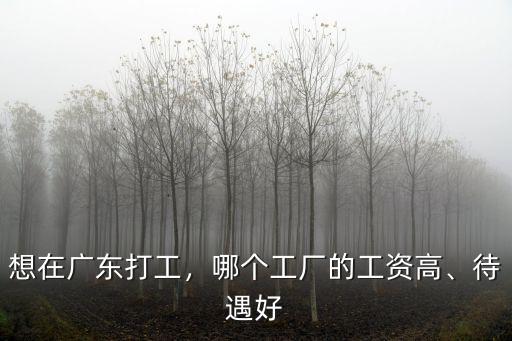 想在廣東打工，哪個工廠的工資高、待遇好