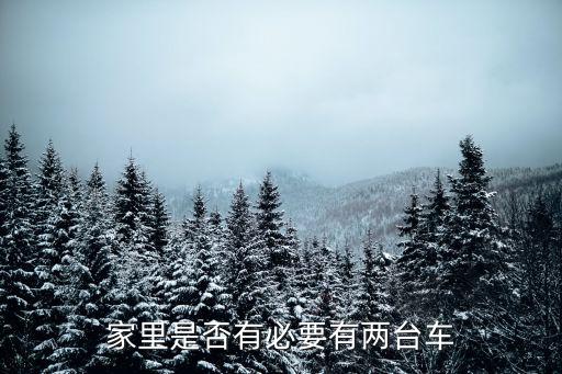 杭州有兩輛車家庭有多少,一個家庭兩輛車