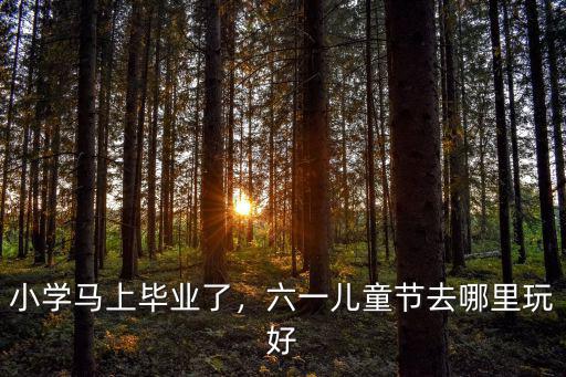 小學馬上畢業了，六一兒童節去哪里玩好