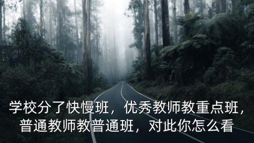 學校分了快慢班，優秀教師教重點班，普通教師教普通班，對此你怎么看