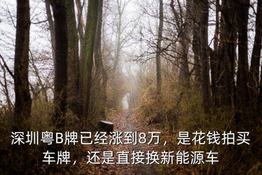 代拍深圳車牌多少錢,外地人剛到深圳