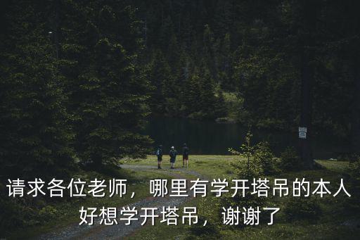 廣東惠州哪里有學(xué)塔吊,想學(xué)開塔吊應(yīng)該去哪里學(xué)