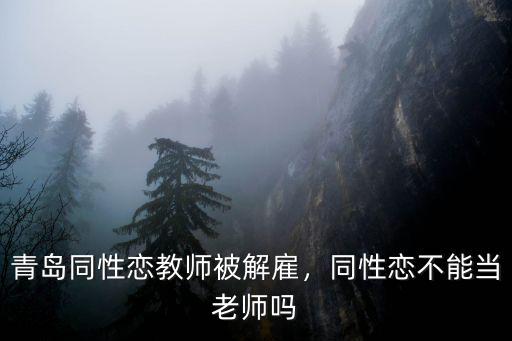 青島同性戀教師被解雇，同性戀不能當老師嗎