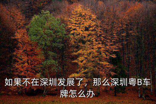 深圳想換車了怎么辦理,如果不在深圳發(fā)展了