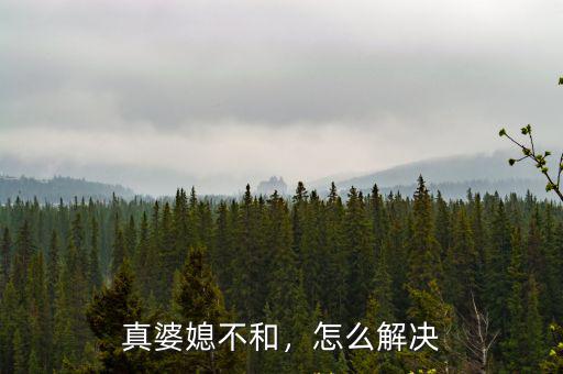 廣州越秀區解決婆媳問題怎么溝通,做為男人怎么處理婆媳問題