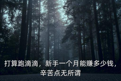 聊城滴滴一個月能賺多少錢,新手一個月能賺多少錢