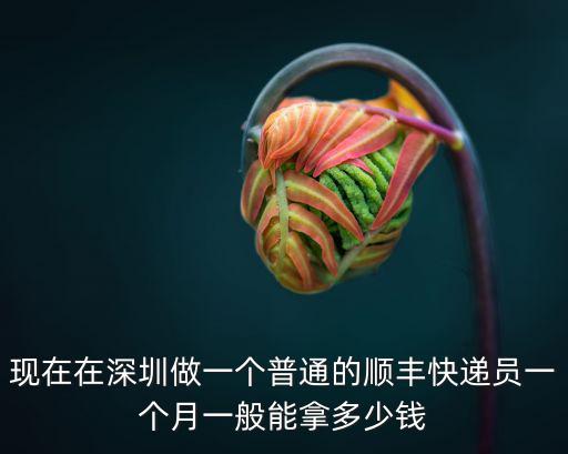 深圳市送快遞一個月能拿多少錢,在深圳送快遞怎么樣