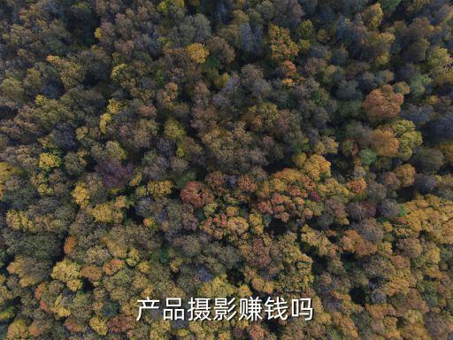嘉興廣告產品攝影服務多少錢,產品攝影賺錢嗎