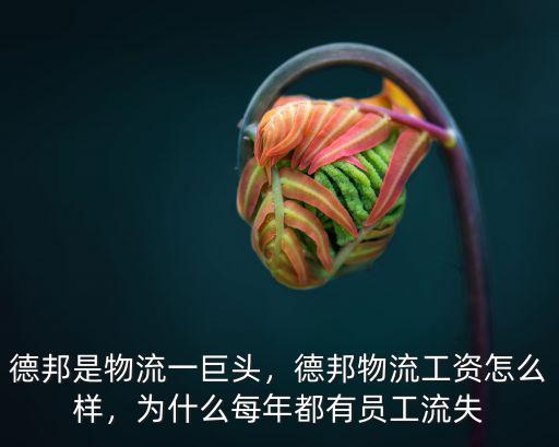 德邦是物流一巨頭，德邦物流工資怎么樣，為什么每年都有員工流失
