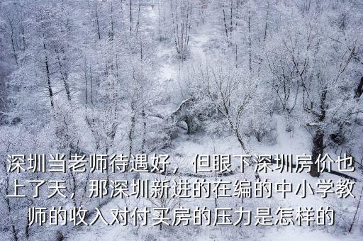 深圳當(dāng)老師待遇好，但眼下深圳房價(jià)也上了天，那深圳新進(jìn)的在編的中小學(xué)教師的收入對(duì)付買房的壓力是怎樣的