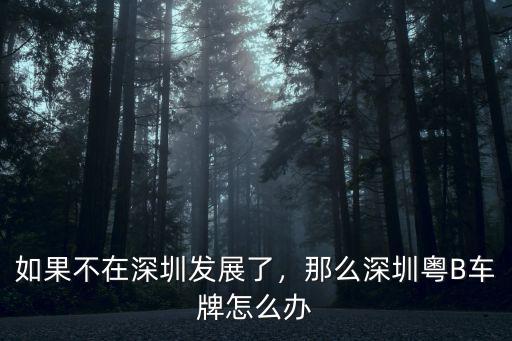 如果不在深圳發(fā)展了，那么深圳粵B車牌怎么辦