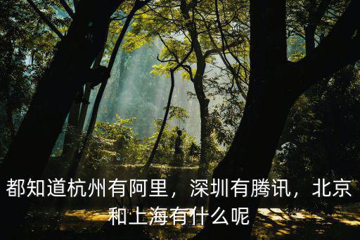 都知道杭州有阿里，深圳有騰訊，北京和上海有什么呢
