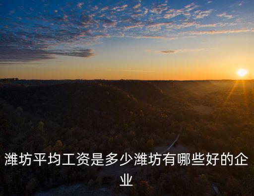 濰坊諸城軟控工資多少,濰坊一個月收入多少算正常