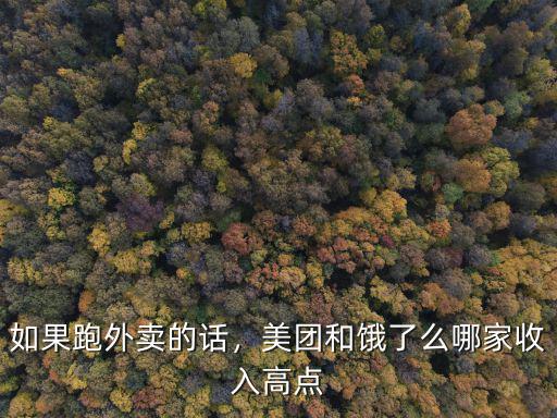 美團樂跑深圳收入怎么樣,如果跑外賣的話