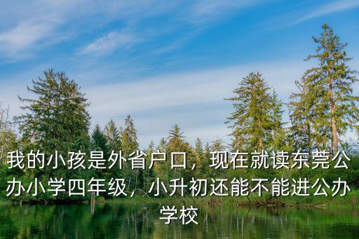 外地小孩在東莞讀小學(xué)多少錢,我的小孩是外省戶口